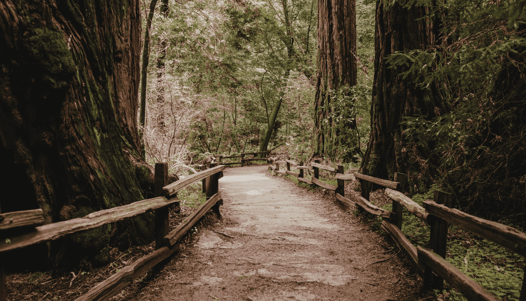 Sf Roadtrip 7