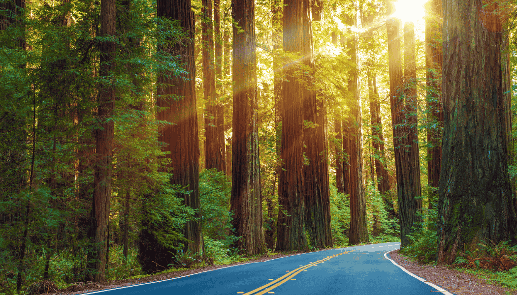 Sf 7 Scenic Destinations 05