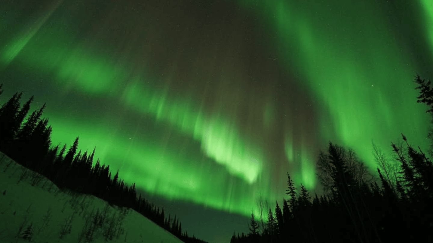 Jess & Furby's Alaskan Aurora Tour Recommendation Article 02
