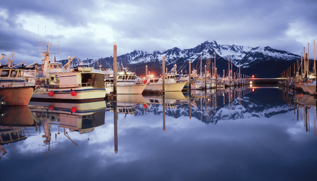 Kenai Fjords National Park 04